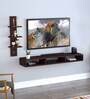 Revolt TV Unit in Wenge Finish