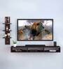 Revolt TV Unit in Wenge Finish