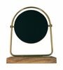 Revolving Vanity Mirror