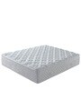 Tranquil ET Queen Size 12 Inch Pocketed Spring Mattress