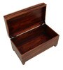 Rezzan Sheesham Wood Trunk in Honey Oak Finish with Cushioned Seat