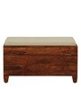Rezzan Sheesham Wood Trunk in Honey Oak Finish with Cushioned Seat