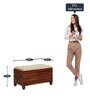 Rezzan Sheesham Wood Trunk in Honey Oak Finish with Cushioned Seat