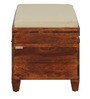 Rezzan Sheesham Wood Trunk in Honey Oak Finish with Cushioned Seat