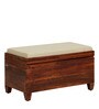 Rezzan Sheesham Wood Trunk in Honey Oak Finish with Cushioned Seat