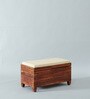 Rezzan Sheesham Wood Trunk in Honey Oak Finish with Cushioned Seat