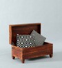 Rezzan Sheesham Wood Trunk in Honey Oak Finish with Cushioned Seat