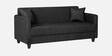 Riya Fabric 3 Seater Sofa In Mystic Black Colour