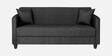 Riya Fabric 3 Seater Sofa In Mystic Black Colour