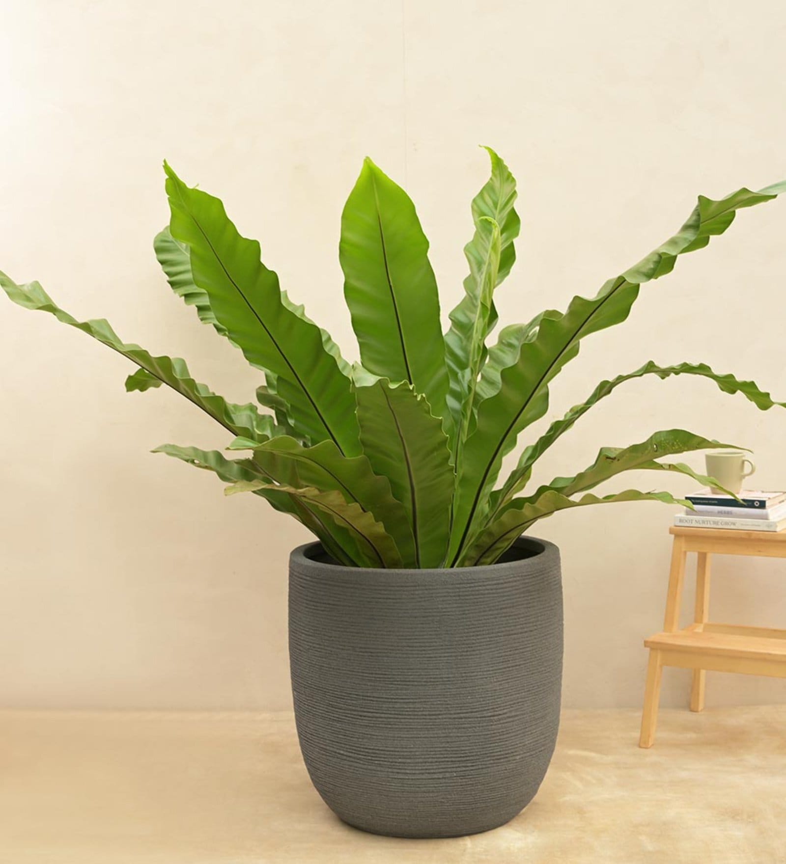 Rib Grey Plastic Planter