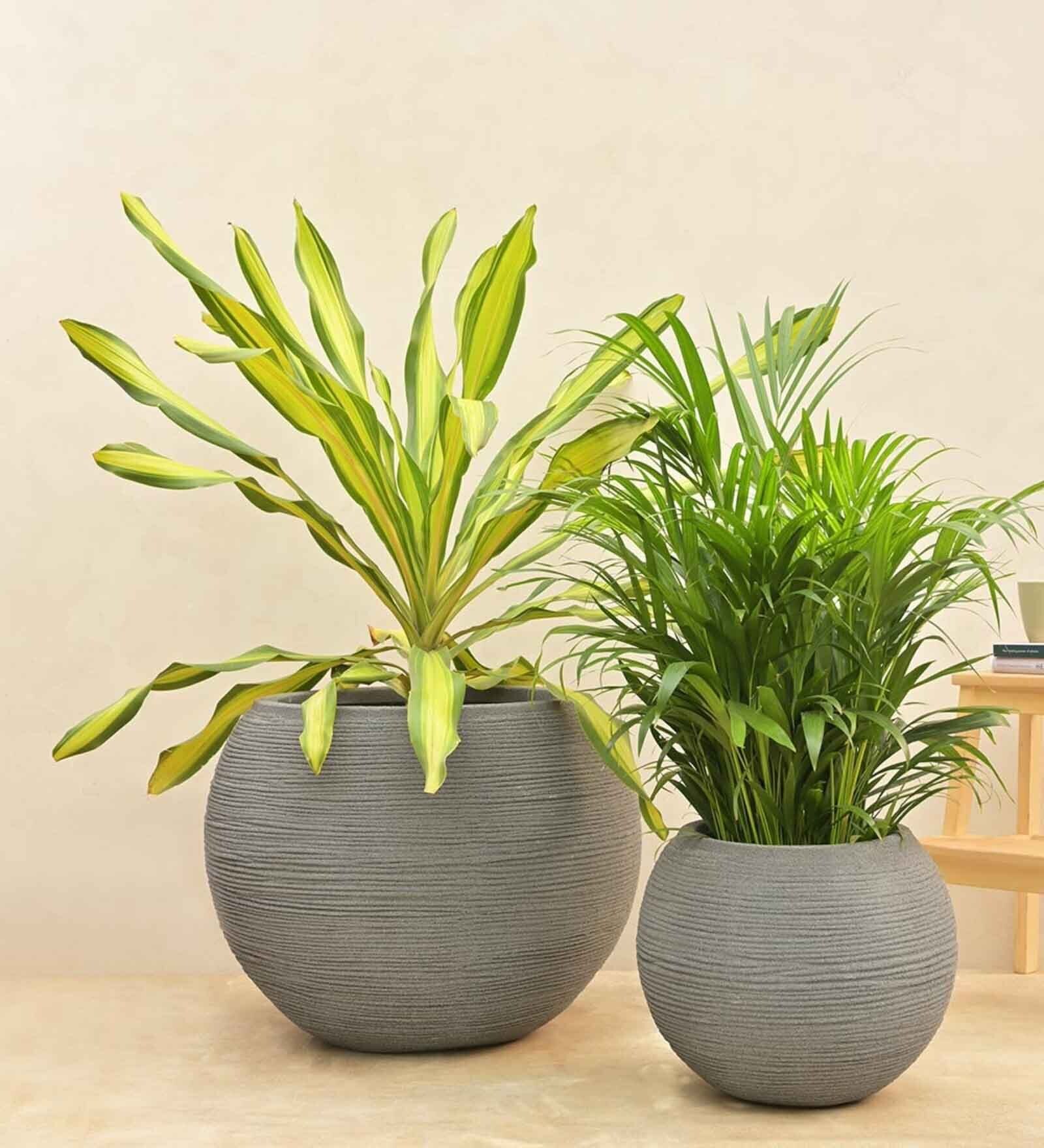 Rib Grey Plastic Planter