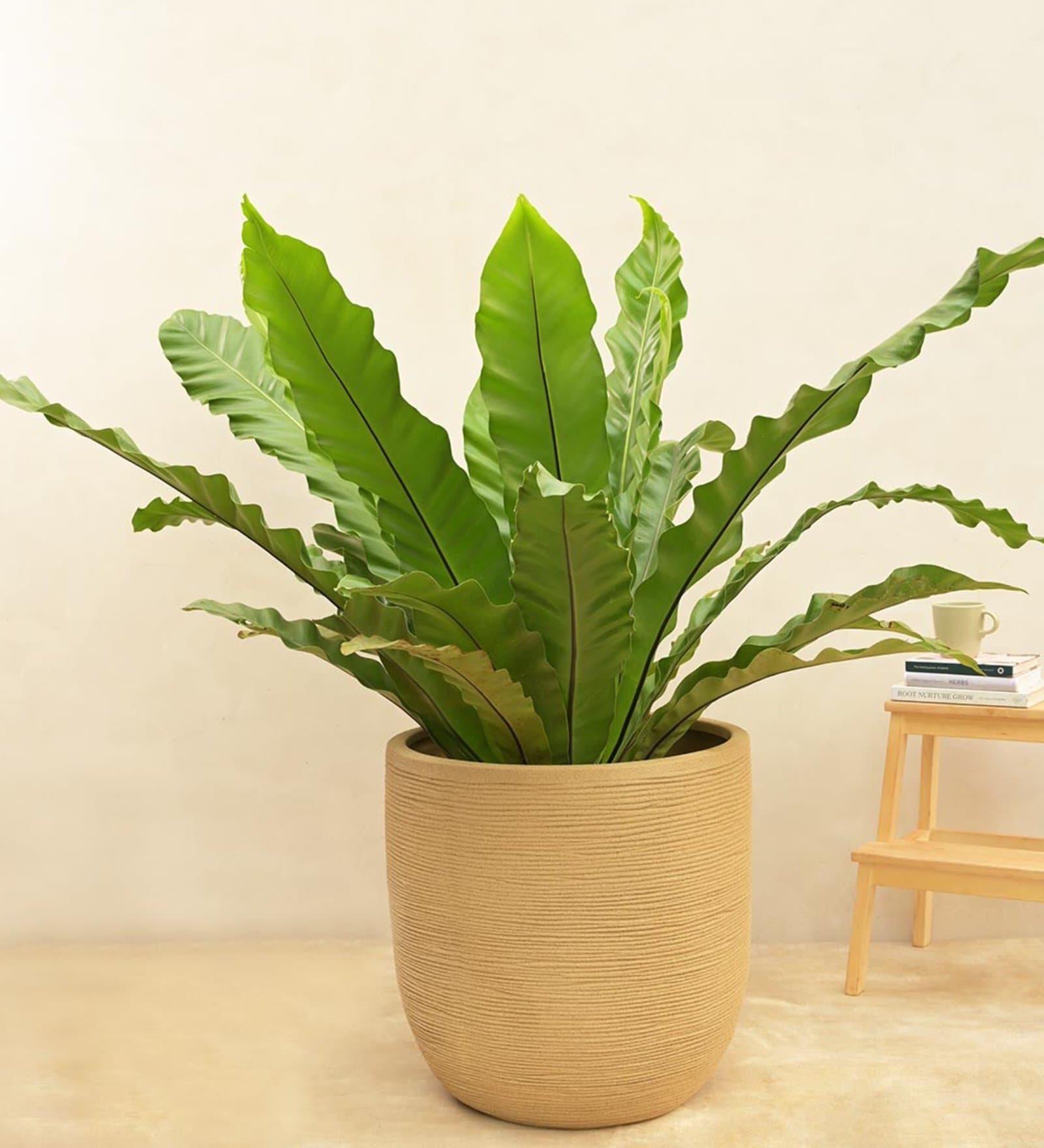 Rib Sand Stone Plastic Planter