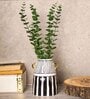 Ribbed Design Black & White Ceramic Vase