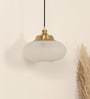 Ribbed Frosted Melon Glass Hanging Pendant Light with Antique Brass Finish