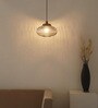 Ribbed Grey Melon Glass Hanging Pendant Light with Antique Brass Finish