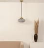 Ribbed Grey Melon Glass Hanging Pendant Light with Antique Brass Finish