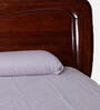 Ribca Solid Wood King Size Bed in Walnut Finish