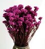 Pink Rice Dried Flower Bunch