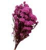 Pink Rice Dried Flower Bunch
