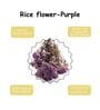 Purple Rice Dried Flowers Bunch