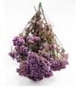 Purple Rice Dried Flowers Bunch