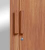 Riga Sheesham 2 Door Wardrobe in Fine Walnut Colour