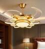 Rilo Smart Fan Gold Metal + Glass , Google & Alexa Remote & App Control