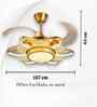 Rilo Smart Fan Gold Metal + Glass , Google & Alexa Remote & App Control