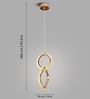 Ring Shape LED Hanging Pendant Light