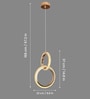 Ring Shape LED Hanging Pendant Light