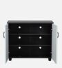 Rio 2 Door Shoe Cabinet in Dual Tone Finish