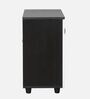 Rio 2 Door Shoe Cabinet in Dual Tone Finish