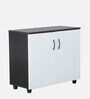 Rio 2 Door Shoe Cabinet in Dual Tone Finish