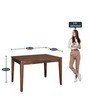 Rio Sheesham Wood 4 Seater Dining Set in Country Light Finish