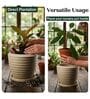 RIO Beige 12 Inch German Polymer Round Plant Container With Saucer