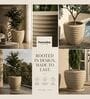 RIO Beige 12 Inch German Polymer Round Plant Container With Saucer