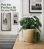 RIO Beige 12 Inch German Polymer Round Plant Container With Saucer