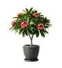 RIO Grey 12 Inch German Polymer Round Plant Container With Saucer