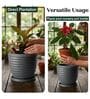RIO Grey 12 Inch German Polymer Round Plant Container With Saucer