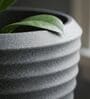 RIO Grey 12 Inch German Polymer Round Plant Container With Saucer