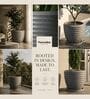 RIO Grey 12 Inch German Polymer Round Plant Container With Saucer