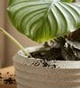 RIO Marble White 12 Inch German Polymer Round Plant Container With Saucer