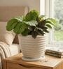RIO Marble White 12 Inch German Polymer Round Plant Container With Saucer