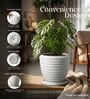 RIO Marble White 12 Inch German Polymer Round Plant Container With Saucer