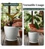 RIO Marble White 12 Inch German Polymer Round Plant Container With Saucer