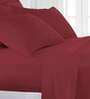 Rio Red Solid 400 TC 100% Cotton 1 Fitted Double King Size Bedsheet with 2 Pillow Covers