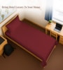 Rio Red Solid 400 TC Cotton Single Sized Bedsheet with 1 Pillow Cover
