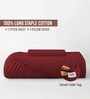 Rio Red Solid 400 TC Cotton Single Sized Fitted sheet with 1 Pillow Cover