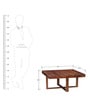 Lynden Sheesham Wood Coffee Table Set in Provincial Teak Finish