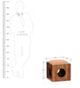 Lynden Sheesham Wood Coffee Table Set in Provincial Teak Finish